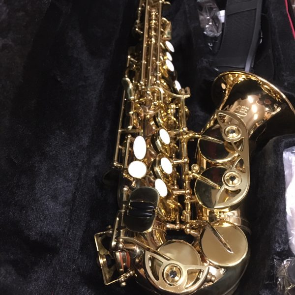ALYSEE' S818L SAX SOPRANO CURVO - immagine 3